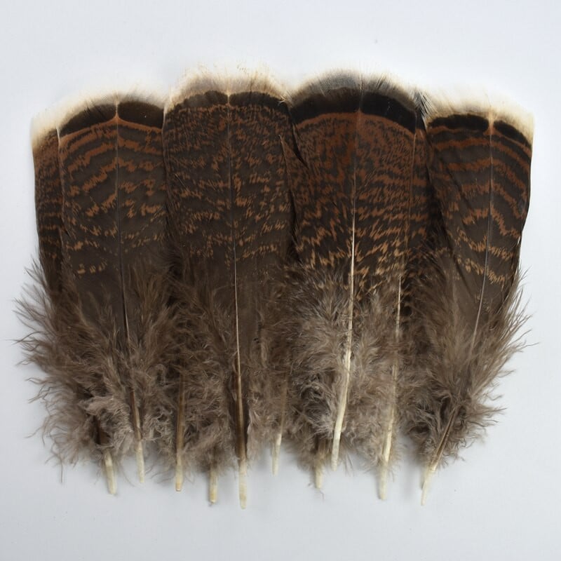 10kom/lot prirodno perje fazana pureće perje orlovsko perje za rukotvorine Carnaval Assesoires ukras perja lovca snova