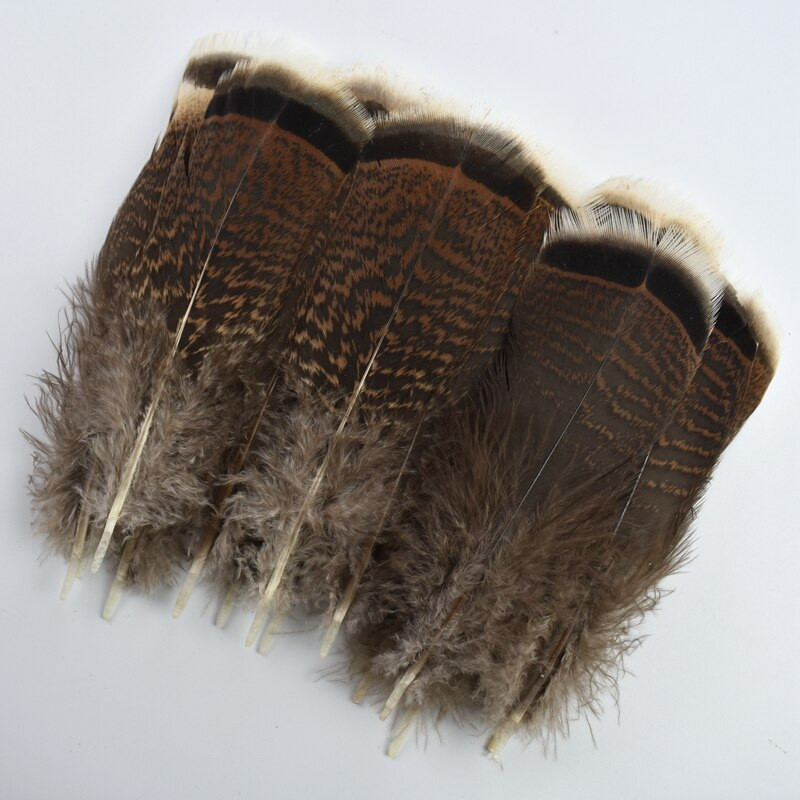 10kom/lot prirodno perje fazana pureće perje orlovsko perje za rukotvorine Carnaval Assesoires ukras perja lovca snova