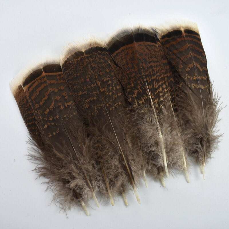 10kom/lot prirodno perje fazana pureće perje orlovsko perje za rukotvorine Carnaval Assesoires ukras perja lovca snova