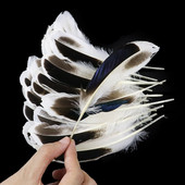 50 tk/pakk naturaalsed pardihanesuled, kaunid luiged ehete kaunistamiseks 4-6 tolli/10-15 cm kodune pulmapeo aksessuaar