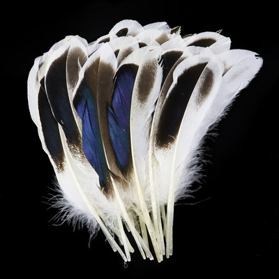 50 tk/pakk naturaalsed pardihanesuled, kaunid luiged ehete kaunistamiseks 4-6 tolli/10-15 cm kodune pulmapeo aksessuaar