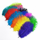 10kom šarenih nojevih perja DIY perjanice za ručni rad Središnji dio vjenčanja haljina za zabave Dekoracija doma Šljive 20-25 CM