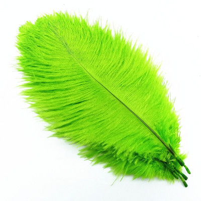 10kom šarenih nojevih perja DIY perjanice za ručni rad Središnji dio vjenčanja haljina za zabave Dekoracija doma Šljive 20-25 CM