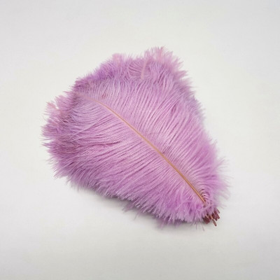 10kom šarenih nojevih perja DIY perjanice za ručni rad Središnji dio vjenčanja haljina za zabave Dekoracija doma Šljive 20-25 CM