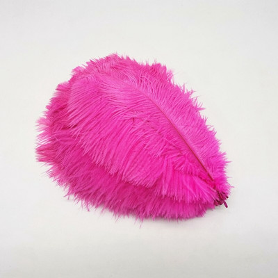 10kom šarenih nojevih perja DIY perjanice za ručni rad Središnji dio vjenčanja haljina za zabave Dekoracija doma Šljive 20-25 CM