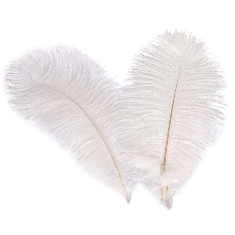 10kom šarenih nojevih perja DIY perjanice za ručni rad Središnji dio vjenčanja haljina za zabave Dekoracija doma Šljive 20-25 CM