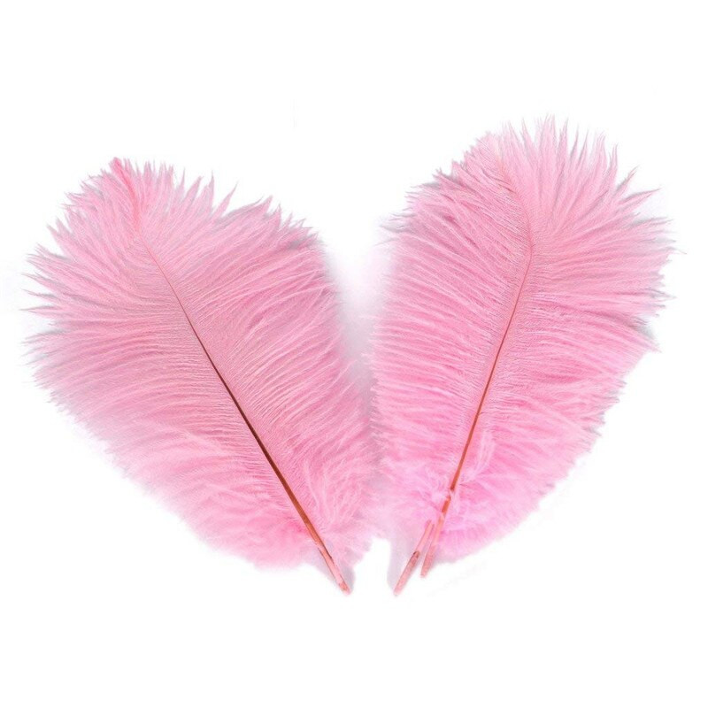 10kom šarenih nojevih perja DIY perjanice za ručni rad Središnji dio vjenčanja haljina za zabave Dekoracija doma Šljive 20-25 CM