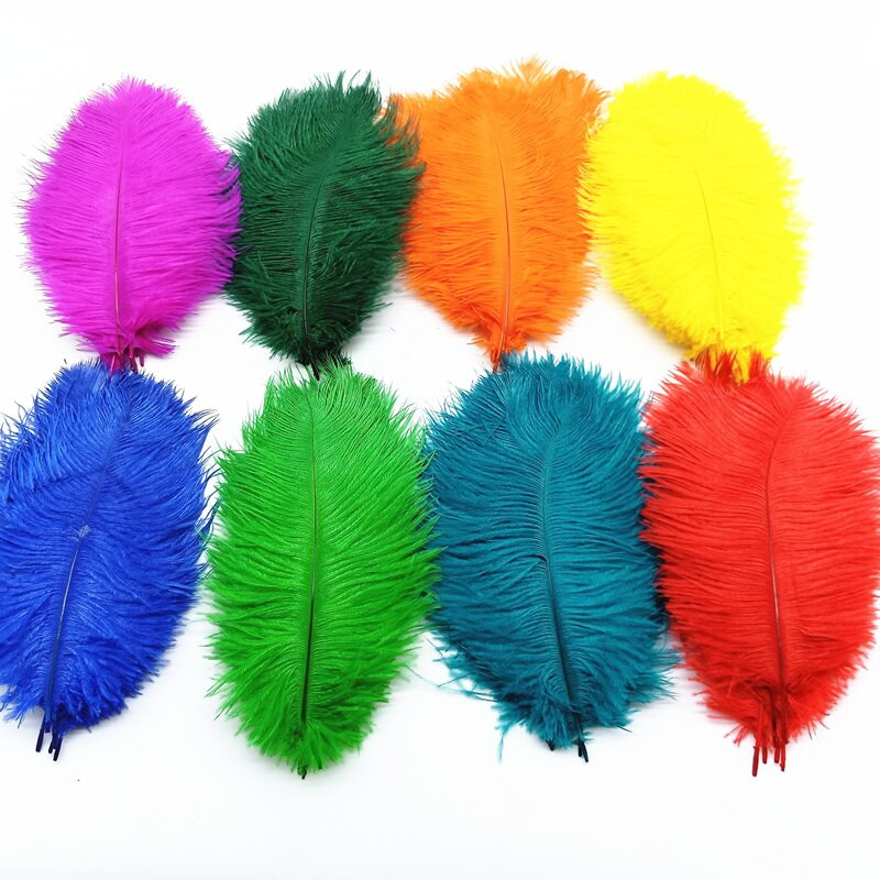 10kom šarenih nojevih perja DIY perjanice za ručni rad Središnji dio vjenčanja haljina za zabave Dekoracija doma Šljive 20-25 CM