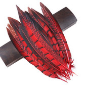 Faasanisuled Naturaalne Penacho seinakaunistuseks Loomingulised vaba aja suled Cultrate 15-20cm 10 tk isetehtud käsitöötarbed