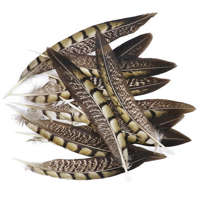 Faasanisuled Naturaalne Penacho seinakaunistuseks Loomingulised vaba aja suled Cultrate 15-20cm 10 tk isetehtud käsitöötarbed