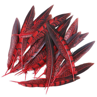 Faasanisuled Naturaalne Penacho seinakaunistuseks Loomingulised vaba aja suled Cultrate 15-20cm 10 tk isetehtud käsitöötarbed