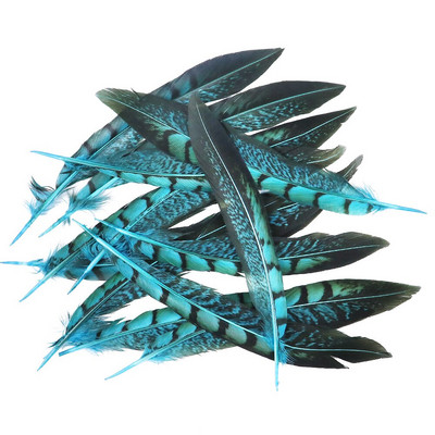 Faasanisuled Naturaalne Penacho seinakaunistuseks Loomingulised vaba aja suled Cultrate 15-20cm 10 tk isetehtud käsitöötarbed