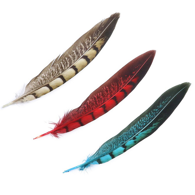 Faasanisuled Naturaalne Penacho seinakaunistuseks Loomingulised vaba aja suled Cultrate 15-20cm 10 tk isetehtud käsitöötarbed