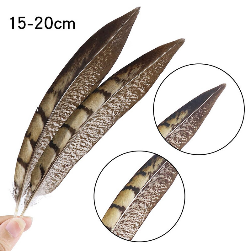 Faasanisuled Naturaalne Penacho seinakaunistuseks Loomingulised vaba aja suled Cultrate 15-20cm 10 tk isetehtud käsitöötarbed