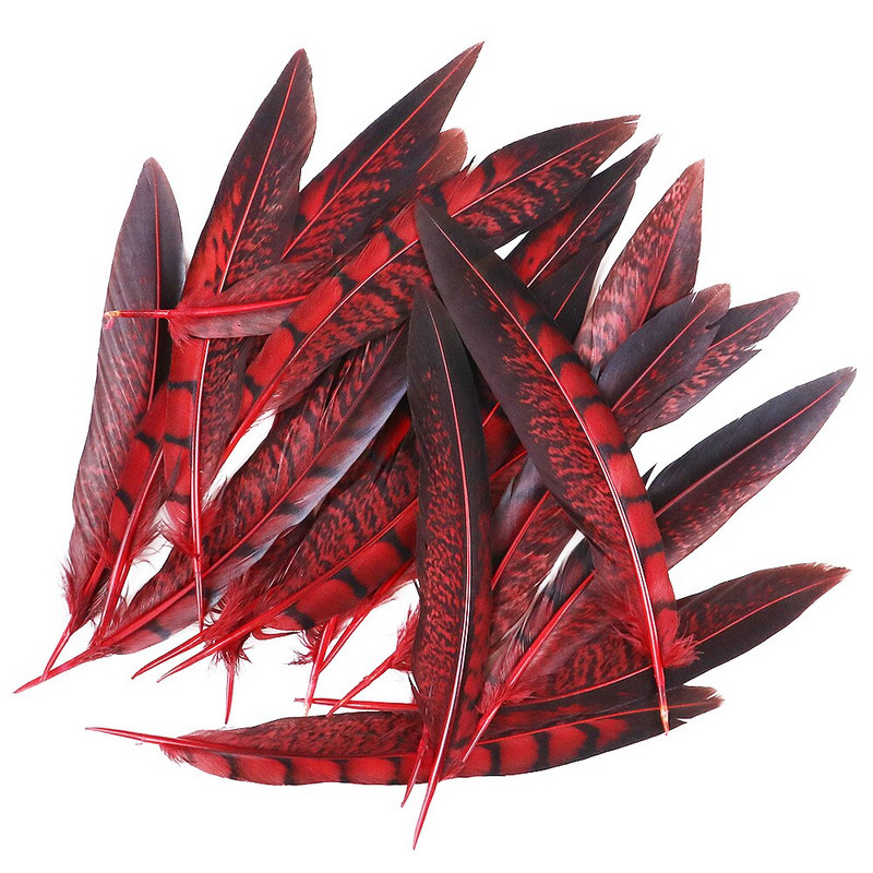 Faasanisuled Naturaalne Penacho seinakaunistuseks Loomingulised vaba aja suled Cultrate 15-20cm 10 tk isetehtud käsitöötarbed