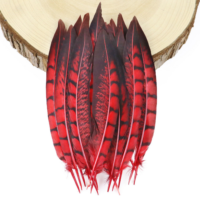 Faasanisuled Naturaalne Penacho seinakaunistuseks Loomingulised vaba aja suled Cultrate 15-20cm 10 tk isetehtud käsitöötarbed