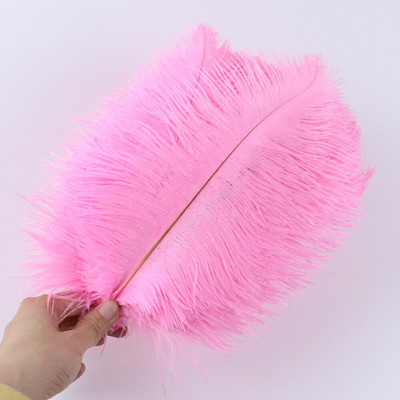 10 tk ehtsat värvi jaanalinnusulge käsitööks pulmapeoks Kodukaunistamislaud Keskosa Käsitöö, naturaalne sulestik Bulk