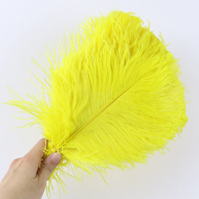 10 tk ehtsat värvi jaanalinnusulge käsitööks pulmapeoks Kodukaunistamislaud Keskosa Käsitöö, naturaalne sulestik Bulk