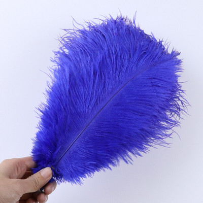 10 tk ehtsat värvi jaanalinnusulge käsitööks pulmapeoks Kodukaunistamislaud Keskosa Käsitöö, naturaalne sulestik Bulk