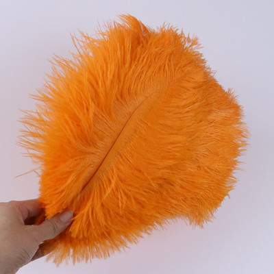 10 tk ehtsat värvi jaanalinnusulge käsitööks pulmapeoks Kodukaunistamislaud Keskosa Käsitöö, naturaalne sulestik Bulk