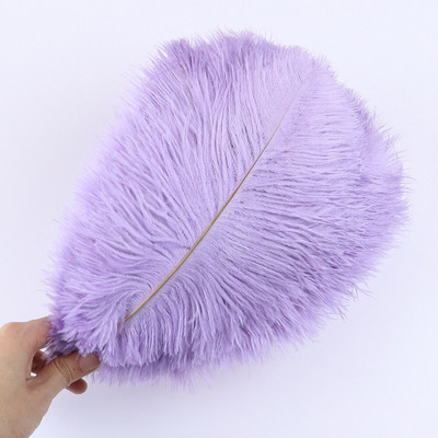 10 tk ehtsat värvi jaanalinnusulge käsitööks pulmapeoks Kodukaunistamislaud Keskosa Käsitöö, naturaalne sulestik Bulk