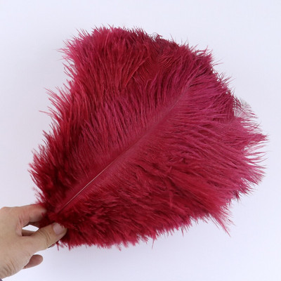 10 tk ehtsat värvi jaanalinnusulge käsitööks pulmapeoks Kodukaunistamislaud Keskosa Käsitöö, naturaalne sulestik Bulk