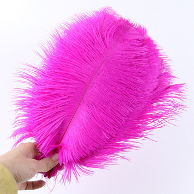 10 tk ehtsat värvi jaanalinnusulge käsitööks pulmapeoks Kodukaunistamislaud Keskosa Käsitöö, naturaalne sulestik Bulk