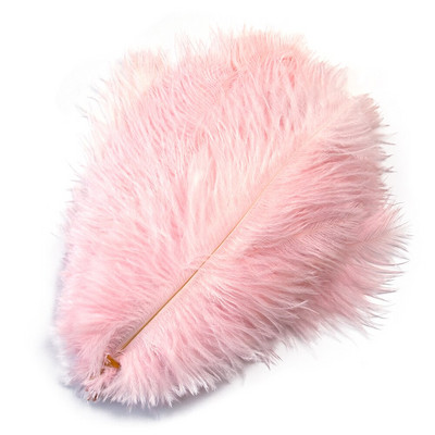 10 tk ehtsat värvi jaanalinnusulge käsitööks pulmapeoks Kodukaunistamislaud Keskosa Käsitöö, naturaalne sulestik Bulk