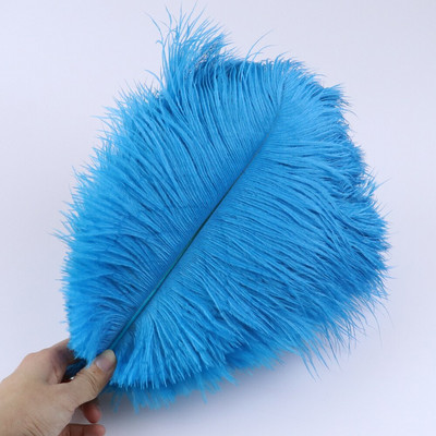 10 tk ehtsat värvi jaanalinnusulge käsitööks pulmapeoks Kodukaunistamislaud Keskosa Käsitöö, naturaalne sulestik Bulk