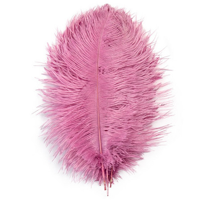 10 tk ehtsat värvi jaanalinnusulge käsitööks pulmapeoks Kodukaunistamislaud Keskosa Käsitöö, naturaalne sulestik Bulk