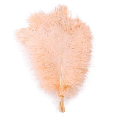 10 tk ehtsat värvi jaanalinnusulge käsitööks pulmapeoks Kodukaunistamislaud Keskosa Käsitöö, naturaalne sulestik Bulk