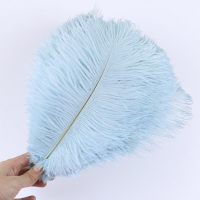 10 tk ehtsat värvi jaanalinnusulge käsitööks pulmapeoks Kodukaunistamislaud Keskosa Käsitöö, naturaalne sulestik Bulk