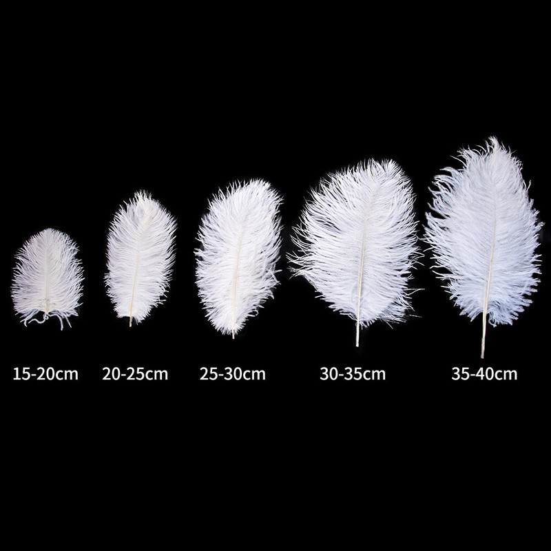 10 tk ehtsat värvi jaanalinnusulge käsitööks pulmapeoks Kodukaunistamislaud Keskosa Käsitöö, naturaalne sulestik Bulk