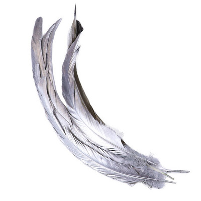 10 kom/lot Tiskanje zlatne i srebrne boje perje pijetlova repa 25-30 cm perje za svatove Ukrasno perje Rukotvorine