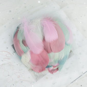 100 TK värvilised hanesulgi DIY käsitöö kohevad luigesuled pehmed ploomid pulmapeo kaunistamiseks ehted dekoori tarvikud