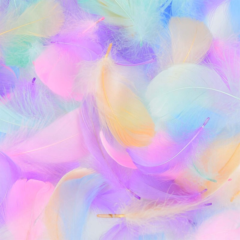 100 TK värvilised hanesulgi DIY käsitöö kohevad luigesuled pehmed ploomid pulmapeo kaunistamiseks ehted dekoori tarvikud