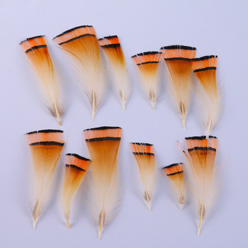 50 Root/100 Root Golden Pheasant Head Feather Feather DIY Handmade Feather Craft Διακοσμητικά φτερά φτερά αξεσουάρ ζωγραφικής