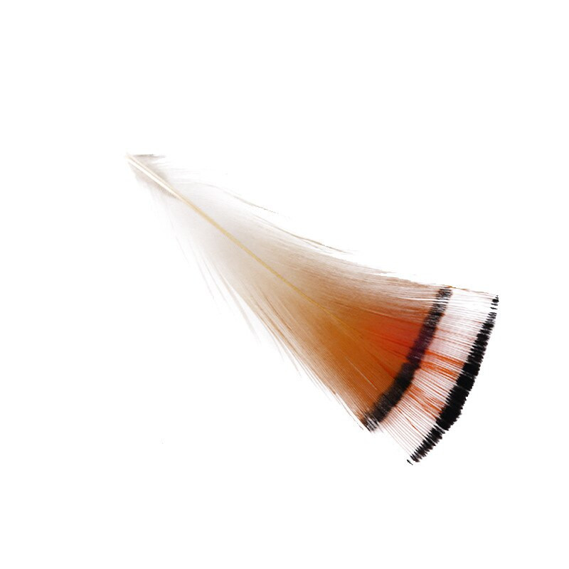 50 šaknų / 100 šaknų auksinio fazano galvos gabalas, plunksna „pasidaryk pats“ rankų darbo plunksnų amatai, dekoratyviniai plunksnų plunksnų dažymo priedai