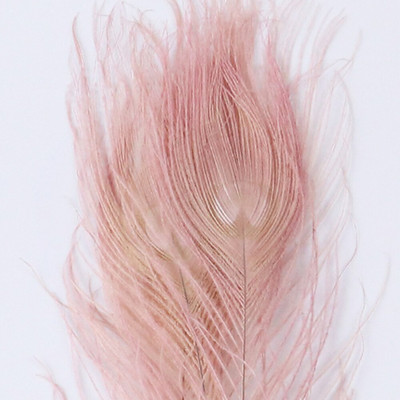 10 tk/partii paabulinnu suled 25-30 cm pulmapeo kaunistamiseks riided õmblemine käsitöö, värvitud värvilised ehtetarvikud