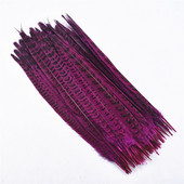 Frumos 20buc 25 - 30cm trandafir natural roșu pene coadă de fazan DIY decorare nuntă accesorii pentru coafură pene pentru meșteșuguri