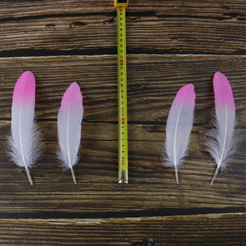10 τμχ/τσάντα Φτερό λευκό χήνας ροζ Χρώμα Συμβουλή 6-8 ιντσών Φυσικά φτερά για χειροτεχνία Κατασκευή κοσμημάτων Διακόσμηση λοφίο χονδρικής