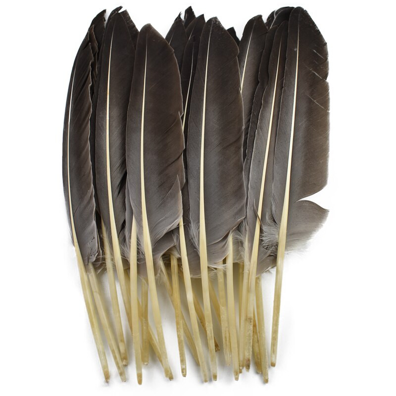 10 τεμ/Παρτίδα Φυσικά φτερά γαλοπούλας Φτερά πάπιας Φτερό ντεκόρ Χειροτεχνία λοφία Αετός Αξεσουάρ χειροτεχνίας Γάμος Ανθρωπογενής διακόσμηση