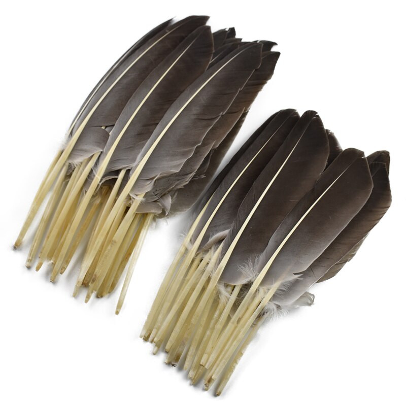 10 τεμ/Παρτίδα Φυσικά φτερά γαλοπούλας Φτερά πάπιας Φτερό ντεκόρ Χειροτεχνία λοφία Αετός Αξεσουάρ χειροτεχνίας Γάμος Ανθρωπογενής διακόσμηση
