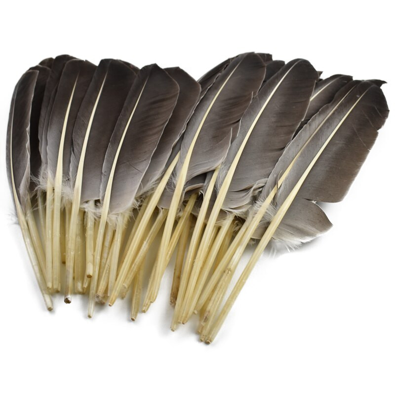 10 τεμ/Παρτίδα Φυσικά φτερά γαλοπούλας Φτερά πάπιας Φτερό ντεκόρ Χειροτεχνία λοφία Αετός Αξεσουάρ χειροτεχνίας Γάμος Ανθρωπογενής διακόσμηση