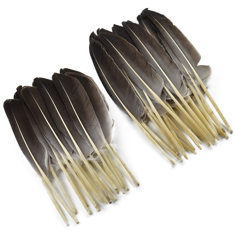 10 τεμ/Παρτίδα Φυσικά φτερά γαλοπούλας Φτερά πάπιας Φτερό ντεκόρ Χειροτεχνία λοφία Αετός Αξεσουάρ χειροτεχνίας Γάμος Ανθρωπογενής διακόσμηση
