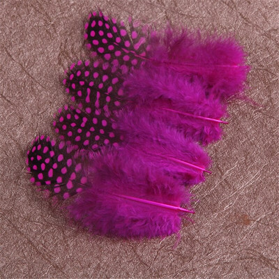 100 tk/partii täpiline Guinea kana sulesuled käsitööks Pärlitähnilised faasanisuled ehete valmistamiseks karnevali ploomide valmistamiseks