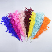 Pene de gâscă Flori Corsaje de nuntă Pene de fazan pentru meșteșuguri Accesorii de decorare pentru coafură pene pentru fabricarea de bijuterii