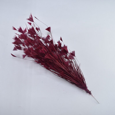 Pene de gâscă Flori Corsaje de nuntă Pene de fazan pentru meșteșuguri Accesorii de decorare pentru coafură pene pentru fabricarea de bijuterii