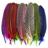 10 buc/lot perle naturale pene de bibilică de pui cu pene de fazan pete materiale pentru legarea muștelor decor decorare pentru prins de vise