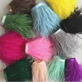 1 Μ 6-15 εκ. Πραγματικά πολύχρωμα φτερά στρουθοκαμήλου Κάλυμμα με κρόσσια DIY Φούντα Πλούμα Κορδέλα Τσάντα γάμου Φόρεμα Ραπτικής Διακόσμησης Χειροτεχνία